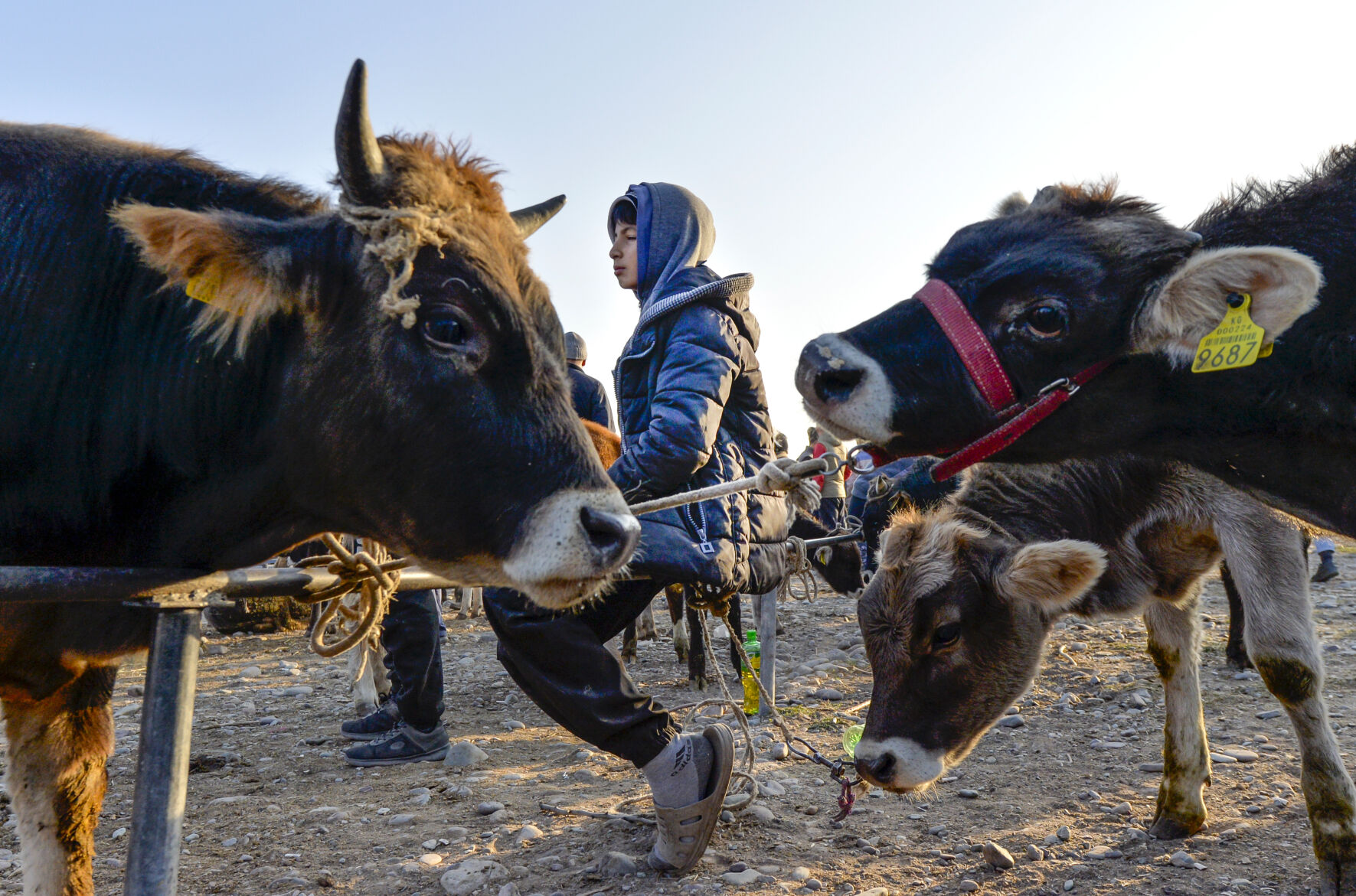 Kyrgyzstan Village Photo Gallery